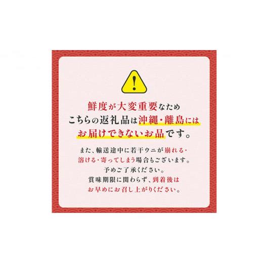 ふるさと納税 北海道 登別市 極上！北海道産キタムラサキウニ折詰300g ※2024年6月下旬よりお届け