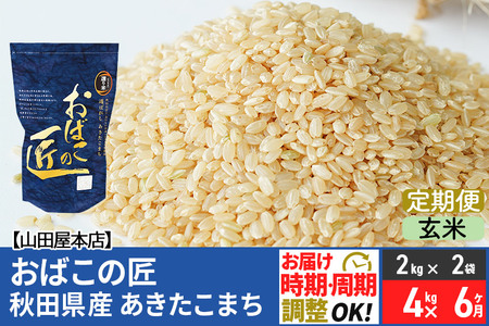 《定期便6ヶ月》令和5年産 おばこの匠 秋田県産あきたこまち 4kg×6回 計24kg 6か月 6ヵ月 6カ月 6ケ月 秋田こまち お米