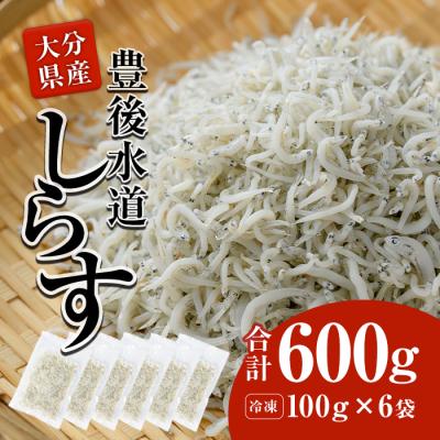 ふるさと納税 佐伯市  豊後水道産 しらす (合計600g・100g×6袋)