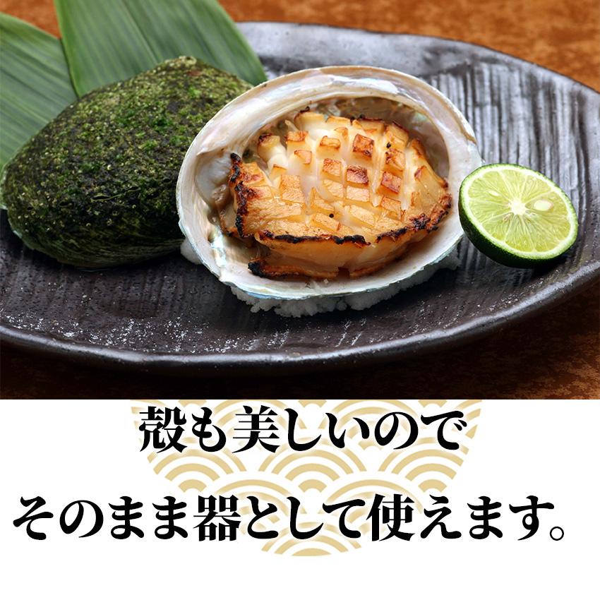 冷凍 生食可 あわび 翡翠の瞳 1kg 3Ｌ 8粒から9粒入 あわび 鮑 ステーキ 刺身 さしみ グリーンリップ 6400101099