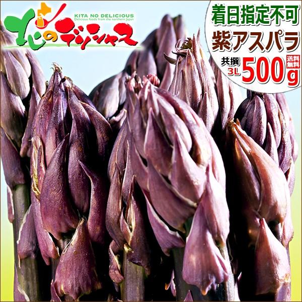 北海道産 パープルアスパラ 500g (共撰 秀品 超極太 3Lサイズ) アスパラ アスパラガス パープルアスパラガス 野菜 送料無料 お取り寄せ