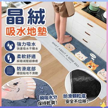 【現貨🔥隔日到貨】晶絨地墊 地墊 浴室防滑墊 廚房地墊 浴室地墊 腳踏墊 踏墊 地毯 防水 防油 防滑地墊 吸水踏墊