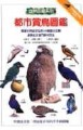 都市賞鳥圖鑑[二手書_普通]