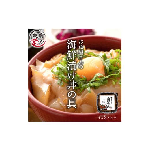 ふるさと納税 福井県 福井市 海鮮漬け イカ 120g×2パック（2〜4食分）[A-088011]