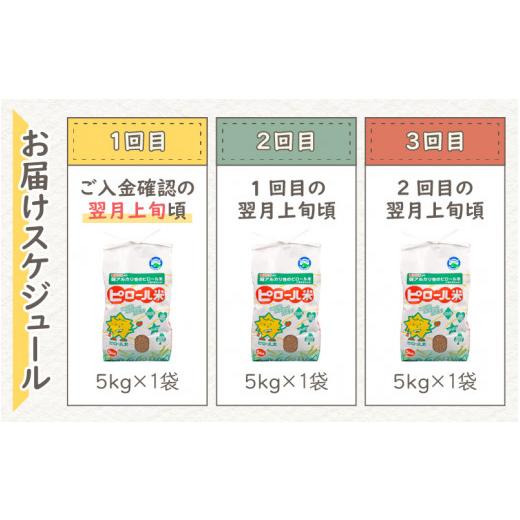 ふるさと納税 福井県 大野市 ミネラル豊富！弱アルカリ性のピロール米 ミルキークイーン 玄米 15kg（5kg × 3回）化学肥料5…