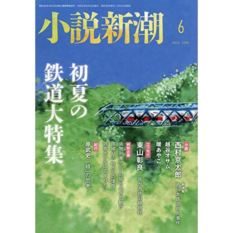 小説新潮 2019年 06 月号 雑誌