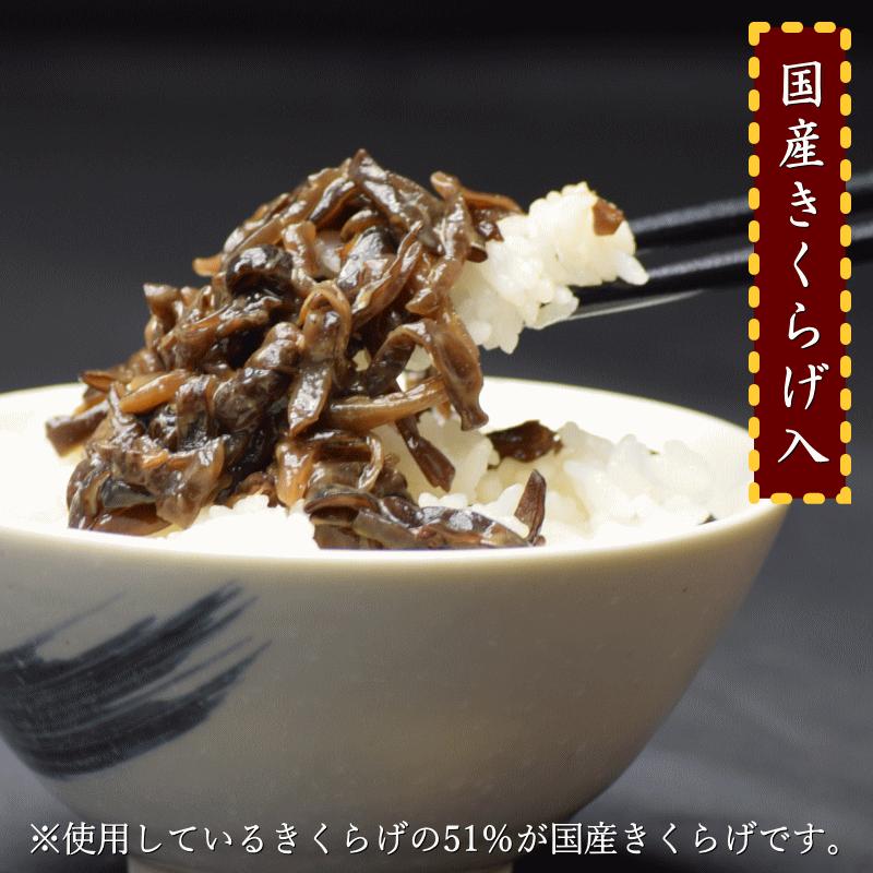 佃煮 きくらげ の塩辛風佃煮 200g 送料無料 佃煮 国産 きくらげ いか 塩辛 ギフト おつまみ ご飯のお供 母の日 父の日 ギフト ちとせフーズ メール便