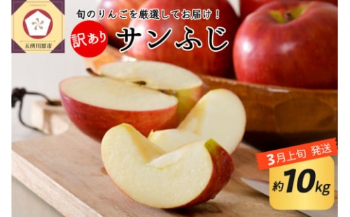   りんご 約10kg サンふじ 青森産