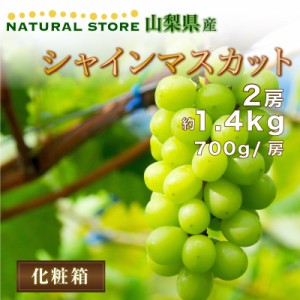 [最短順次発送]  シャインマスカット 2房 約 1.4kg 700g x2 山梨県産 果実 笛吹 夏ギフト 秋ギフト  果実ギフト