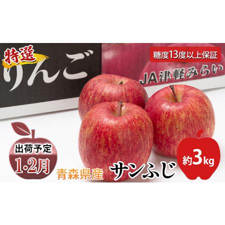 ふるさと納税 年明け  最高級「特選」糖度保証サンふじ 約3kg 青森県平川市