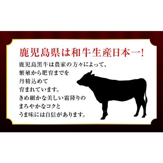 ふるさと納税 鹿児島県 鹿児島市 （H-701）鹿児島黒牛ステーキ・すきやきセット　計800g　K127-008