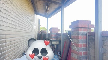 新屋永安國小大地坪別墅｜桃園市新屋區龍莊路