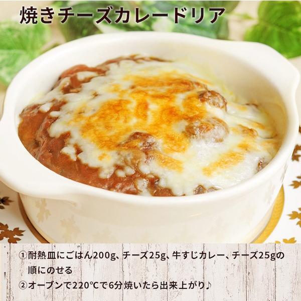 カレー レトルト 牛すじ ビーフカレー 中辛 国産 コラーゲン 送料無料 博多 長期保存  レトルトカレー レトルト食品 グルメ 牛すじカレー 200g×30パック