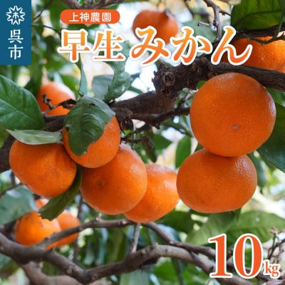 上神農園の早生みかん 約10kg