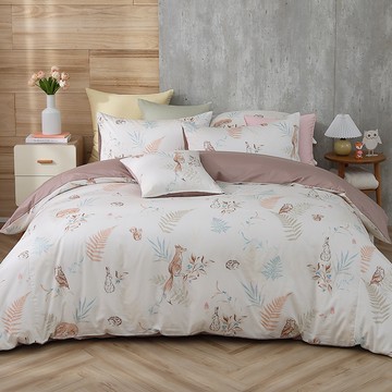 雙人兩用被套床包組/美國棉授權品牌 300織/ 狐狸艾莉森 [鴻宇] 台灣製 - 2306可可