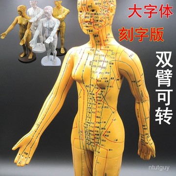 超清晰刻字人體經絡穴位模型全身中銅人敎學男女小人模特 QXUF 萬嘉