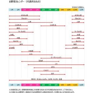 ふるさと納税 定期便 野菜 7〜8品目 6回 南国土佐の新鮮お野菜 詰め合わせ お楽しみ セット 詰め合わせ 季節 新鮮 産地直送 高知県 須崎市 高知県須崎市