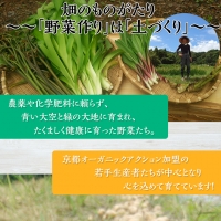 ＜アスカ有機農園＞旬の京野菜セットL（平飼い卵付）＊毎月お届け全１２回