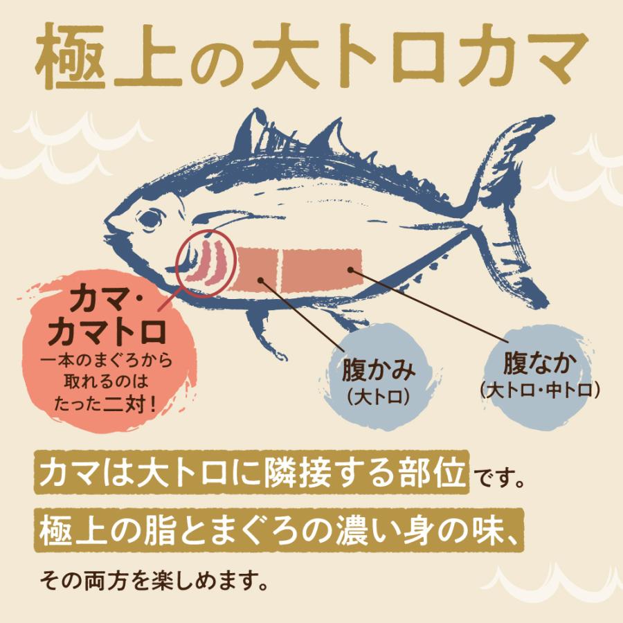 マグロカマ 本まぐろ 大トロカマ 冷凍まぐろカマ 純国産天然本鮪 カマ 1kg（2〜3本）お歳暮 プレゼント ギフト 年末年始 海鮮バーベキュー 送料無料