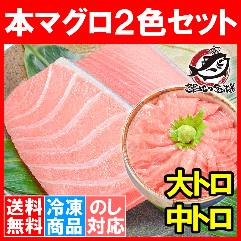 送料無料 本まぐろ 大トロ 200g ＆ 中トロ 200g セット （本まぐろ 本マグロ 本鮪）