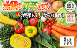 野菜 太陽の野菜セット  季節ごと旬の野菜  配送先は本州限定 2023年7月中旬頃から2023年9月中旬頃まで順次発送予定 ビオ農産物 太陽の恵み 化学肥料 除草剤 不使用 長野県 飯綱町 [1040]