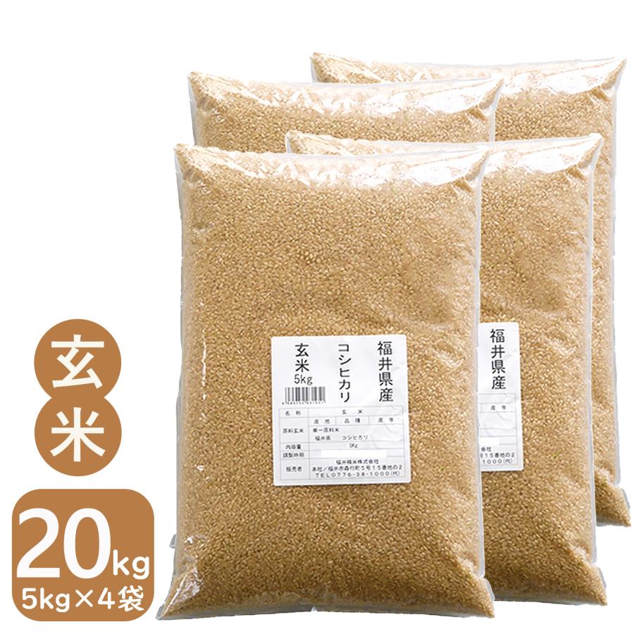 新米 米 玄米 20kg 5kg×4袋 コシヒカリ 福井県産 令和5年産 送料無料