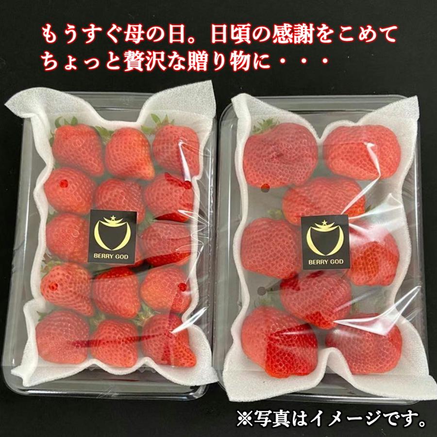 いちご 苺 福岡 プレゼント ギフト おすすめ フルーツ イチゴ 苺 高級 神激のあまおう 送料無料 人気  3箱 6パック