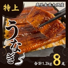 鹿児島県大隅産うなぎ蒲焼8尾(計1.2kg) 726-1