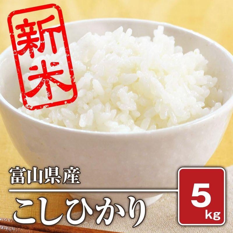 白米富山県産 こしひかり（令和4年）5kg