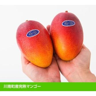 ふるさと納税 宮崎県産完熟マンゴー「果実の宝石」２Ｌ×３玉【 期間限定 数量限定 先行予約 果物 フルーツ マンゴー 宮崎.. 宮崎県川南町