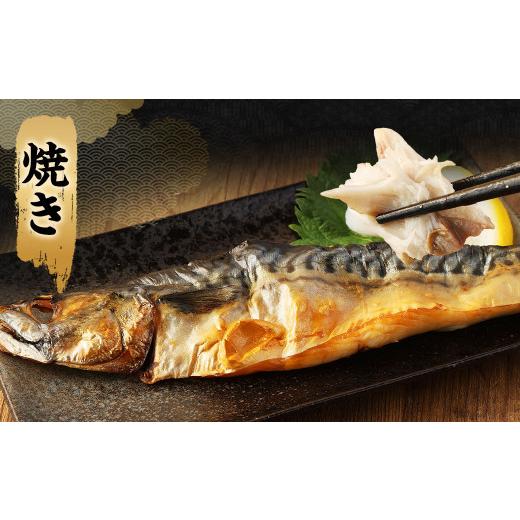 ふるさと納税 茨城県 神栖市  業務用 無添加さば文化干し 1.5kg 鯖 さば 干物 魚