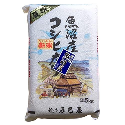 [精米] 新米 新潟県産 北魚沼産 (旧広瀬・守門村) コシヒカリ 5kg 白米 新潟辰巳屋 令和5年産