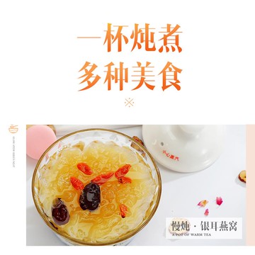 出口110v旗艦店伏養生壺美國日本臺灣省多功能陶瓷養生杯電燉鍋