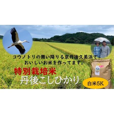 ふるさと納税 白米５K×６か月　京丹後久美浜産　特別栽培米こしひかり 京都府京丹後市