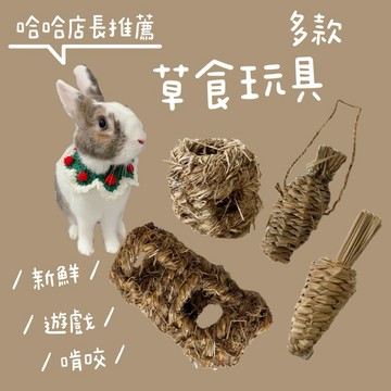 哈密兔事·草食玩具 ｜防兔無聊必買 草球草蘿蔔草卷球型草桶 兔零食、兔用品兔子玩具