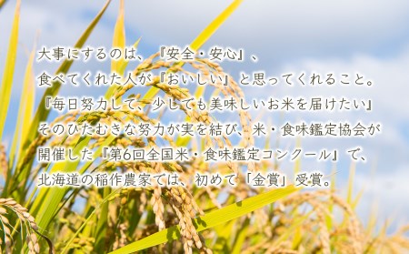  ★定期便★金賞農家★が作る「ゆめぴりか（玄米）」10㎏×3回《杉本農園》米 こめ 北海道産お米 北海道米 美味しいお米 北海道産米 道産米 