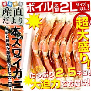 北海道より直送 北海道加工 「ボイル本ズワイガニ」 総重量2.5キロ(8肩前後) 2Lサイズ以上 送料無料　カニ ズワイ ズワイガニ ズワイ蟹