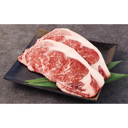 ふるさと納税 あか牛 サーロインステーキ 400g (200g×2枚) 牛肉 ステーキ 熊本県水俣市