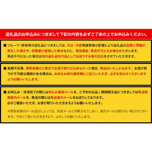 ふるさと納税 和歌山県 日高町 トマト ミニトマト ミニトマト アイコ 約 2kg 株式会社 はし長《12月中旬-7月上旬頃より発送予定(土日祝除く)》和歌山県 日…