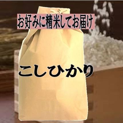 お米　10ｋｇ　福井県産　コシヒカリ　こしひかり　米　令和3年産　玄米　10ｋｇ　お好みに　精米してお届け