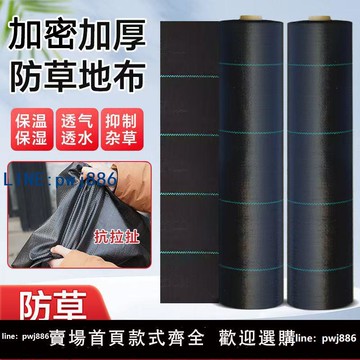 【店家補貼】防草布除草布抗老化加厚果園果樹蓋草布遮草農用園藝地布地膜加厚