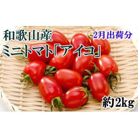 ふるさと納税 ミニトマト「アイコトマト」約2kg（S・Mサイズおまかせ）和歌山産 和歌山県那智勝浦町