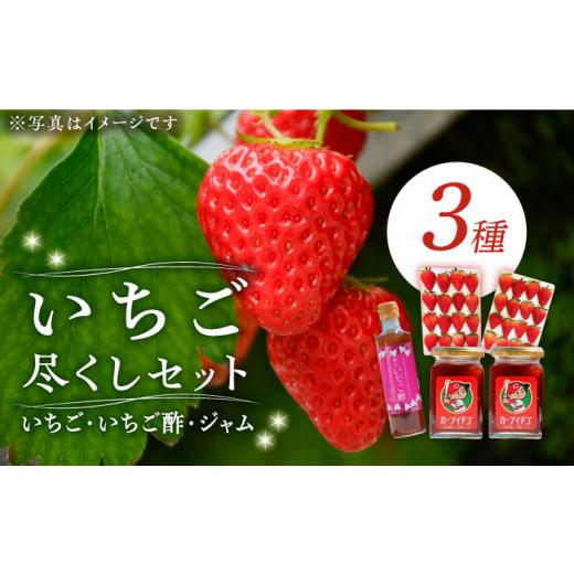 ふるさと納税 広島県 江田島市 瀬戸内の島で育ったいちご尽くしセット 苺 いちご イチゴ 紅ほっぺ フルーツ 江田島市／沖美ベジタ…