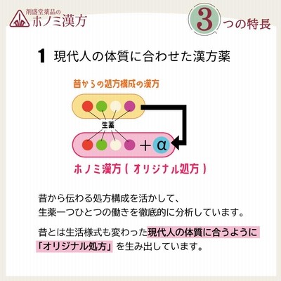 めまい 耳鳴り 神経衰弱 気上錠（きじょうじょう） 450錠 眼科疾患