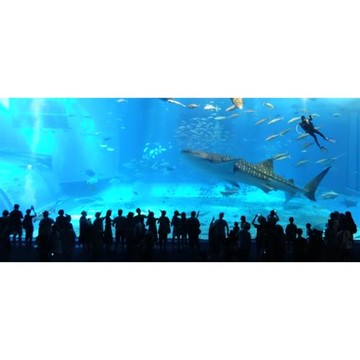 【不開車玩沖繩】亞航沖繩精選市區飯店自由行4日(含稅/贈一日遊/贈ESIM/再加購1日遊888)_25ZPOKAF30