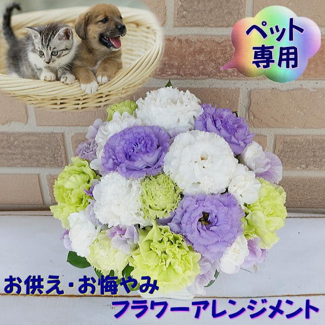 魅力的な価格 フランネリカ プリザーブドフラワー 犬 お悔やみ 贈り物 お供え ペット 仏花 プレゼント ギフト かわいい 写真立て L版 花  アレンジメント leyendadelparamo.es