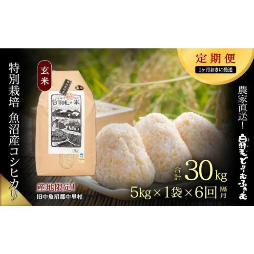 ふるさと納税 新潟県 十日町市 ≪令和5年産≫農家直送！魚沼産コシヒカリ特別栽培「白羽毛の米」玄米(5kg×1袋)×6回 …