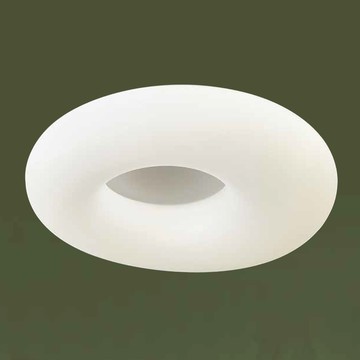 36W 三色變光吸頂燈 36-61726