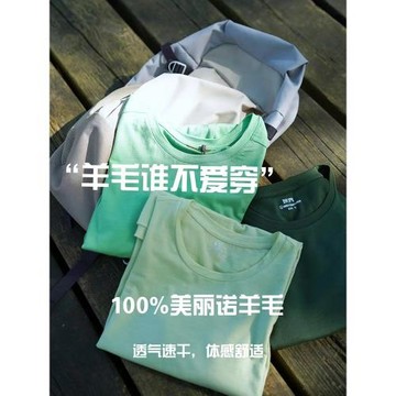 灰殼美利奴羊毛速干衣女戶外徒步登山透氣短袖美麗諾新款運動T恤