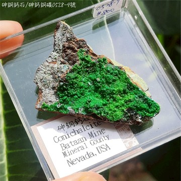 砷銅鈣石/砷鈣銅礦0528-9號Conichalcite ~促進接地紮根和穩定、幫助清除情緒障礙並培養自我接納